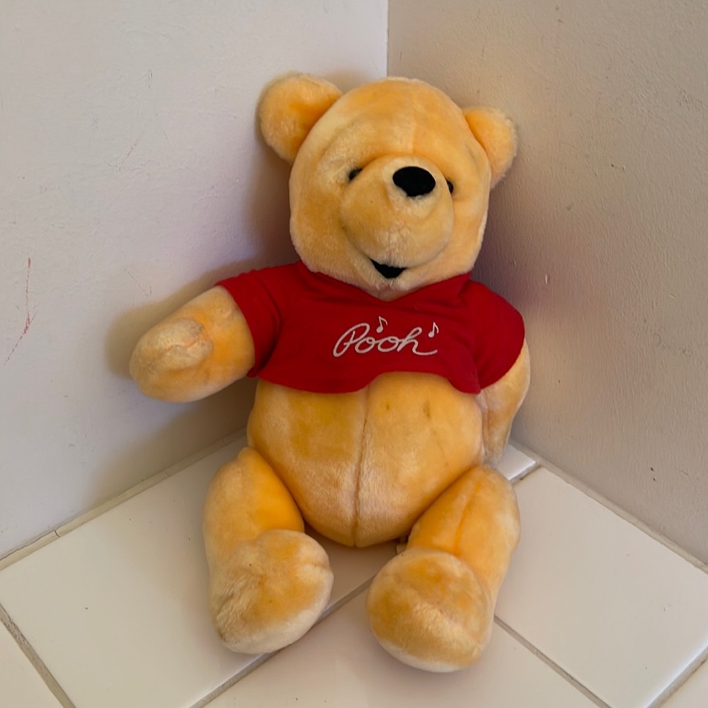 Disneyland Disneyworld Plush Winnie the Pooh electronic melody plays